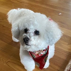 Meet your Posher, Jen